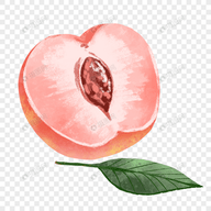 WWW,548se·COM网站APPAPP应用