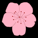 黄色直播3.0APP应用